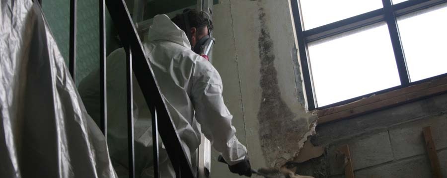Mold remediation technician at work in Miami