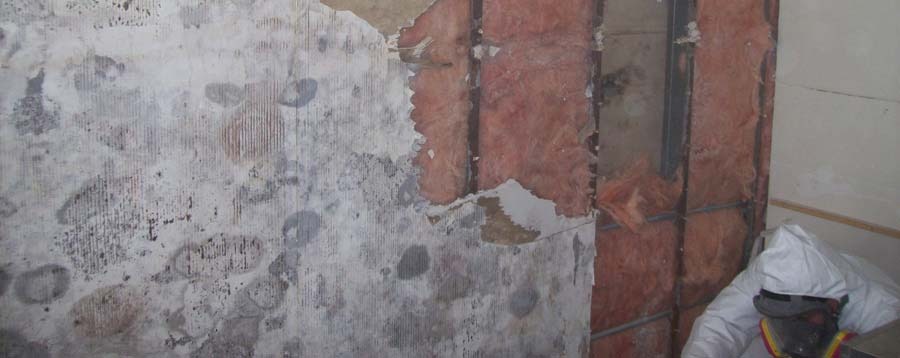Mold removal in progress by certified technician